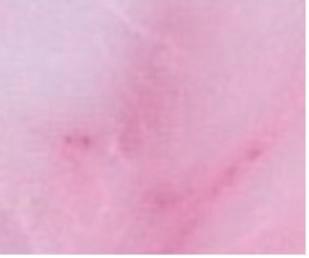 供應(yīng)人造珠光石珠光板人造石珠光板