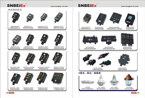 BJX防爆接线箱厂家.批发.图片