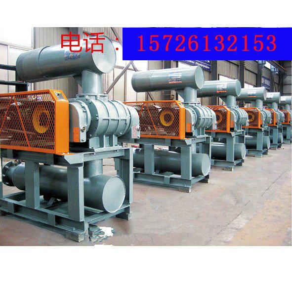 供應(yīng)羅茨真空泵真空泵羅茨泵