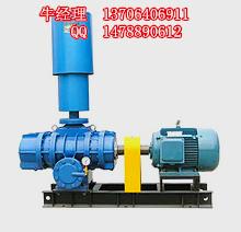 供應(yīng)低噪音三葉羅茨風(fēng)機(jī)回轉(zhuǎn)風(fēng)機(jī)章丘羅茨風(fēng)機(jī)