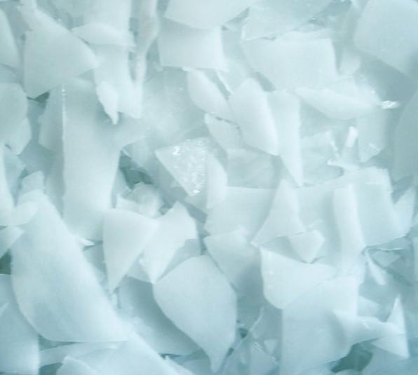 中雪圖片/中雪樣板圖 (3)