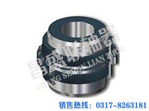 泊頭昌盛CLZ型齒式聯(lián)軸器圖片