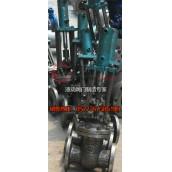 供應(yīng)Z741H液動閘閥