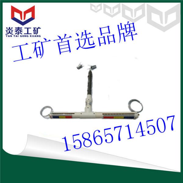 頂板離層指示儀