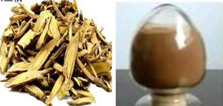 山豆根提取物圖片