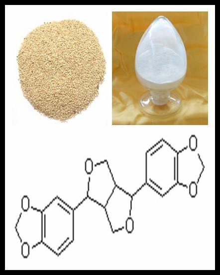 供應(yīng)芝麻素提取物具有降低膽固醇、*、*壓、保護(hù)肝臟等作用