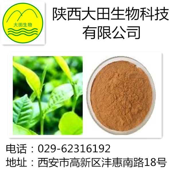 绿茶提取物图片