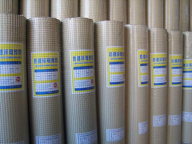 供應(yīng)廠家直銷熱鍍鋅電焊網(wǎng)