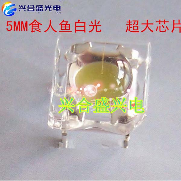 供應(yīng)高亮食人魚LED燈*車燈的LED燈剎車燈，尾車，轉(zhuǎn)向燈LED