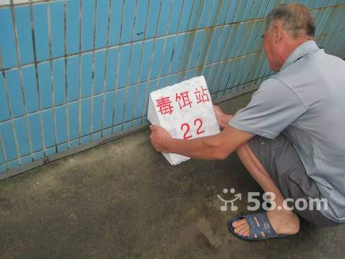 供應(yīng)越秀海珠集裝箱船泊鐵路車廂殺蟲公交車廂滅鼠滅蟑螂滅白蟻蚊蠅除四害