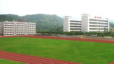 哪里人造草坪施工好圖片