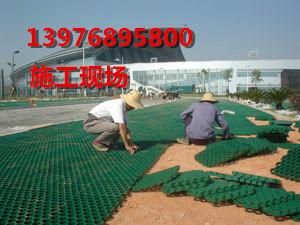 供應(yīng)臨高優(yōu)質(zhì)植草格?？趶S家，臨高植草格本地批發(fā)