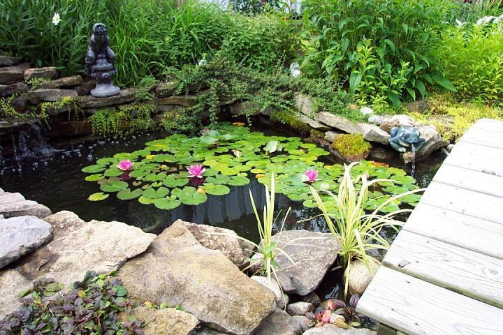 供應(yīng)上海閔行太湖石假山制作，上海閔行太湖石假山多少錢(qián)上海閔行太湖石