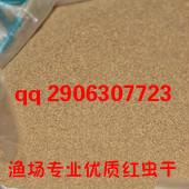 供應紅蟲生產(chǎn)廠家 紅蟲養(yǎng)殖場 紅蟲銷售