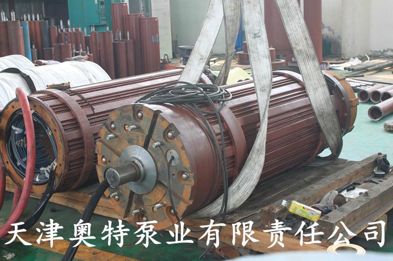 潛水電機圖片/潛水電機樣板圖 (3)