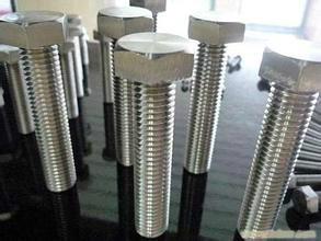 供應(yīng)佛山304化工設(shè)備不銹鋼六角螺絲