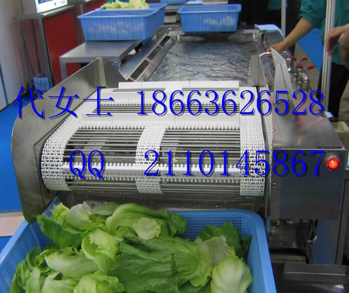 供應(yīng)蔬菜清洗機(jī)，清洗機(jī)價(jià)格