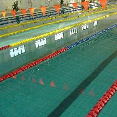 供應(yīng)游泳館泳道線