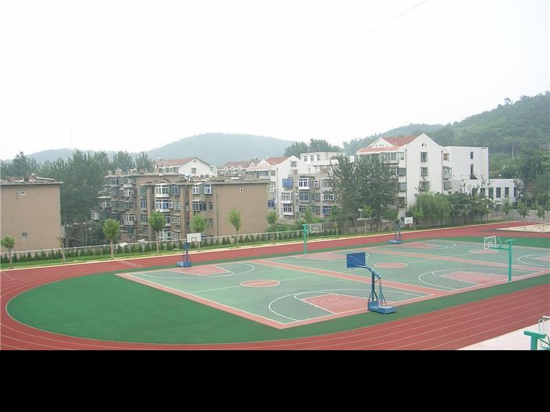 供應各種運動場地施工