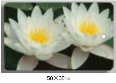 供應(yīng)美食城消費(fèi)機(jī)一卡通