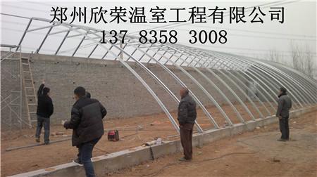 供應(yīng)鋼結(jié)構(gòu)蔬菜大棚的價(jià)格