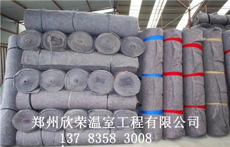 供應(yīng)鄭州大棚保溫被 定做各種規(guī)格棉被 廠家直銷