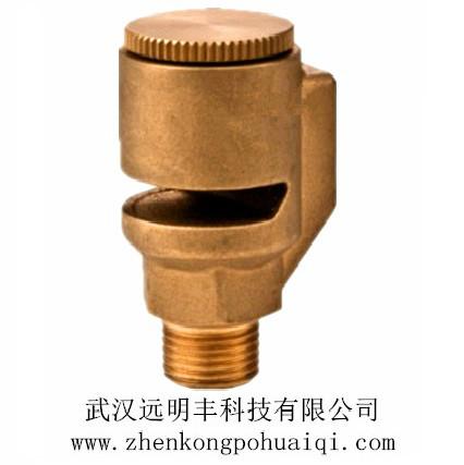 供應(yīng)泰安真空破壞器