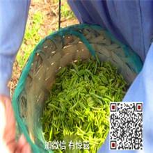 供應(yīng)碧螺春茶葉包裝禮盒_蘇州東山碧螺春茶葉包裝禮盒_碧螺春茶葉包裝禮盒