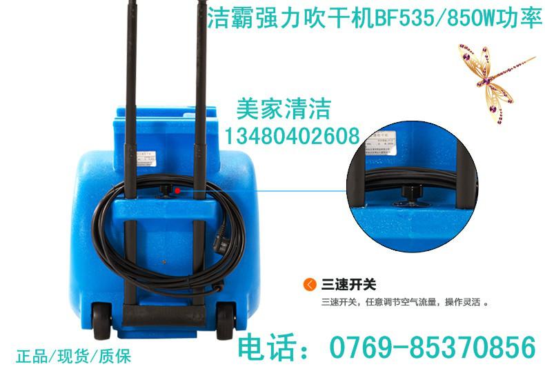 供應(yīng)潔霸強(qiáng)力吹干機(jī)BF535