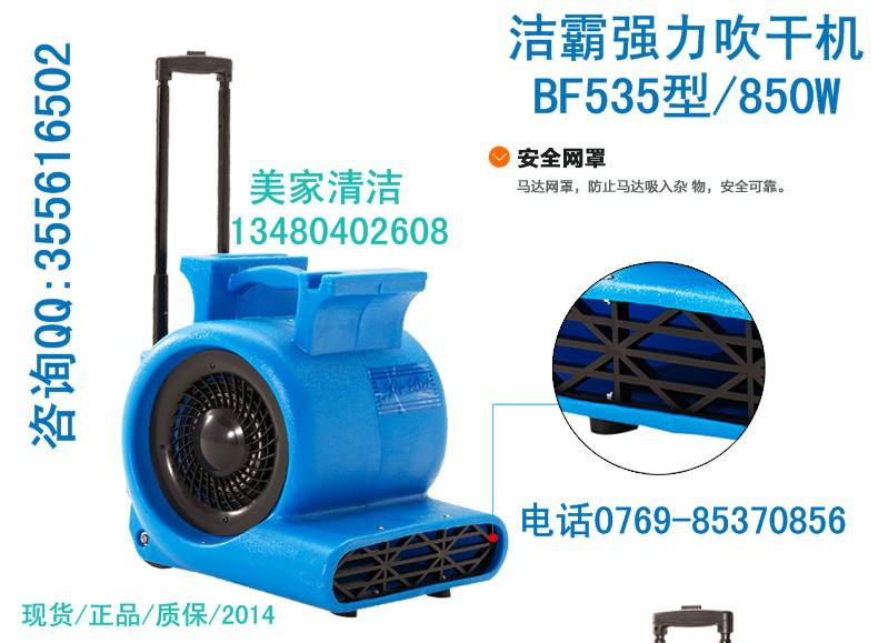 供應(yīng)潔霸強(qiáng)力吹干機(jī)BF535