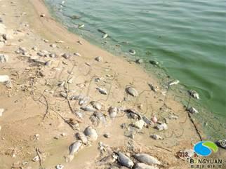 邦源環(huán)保與水體富營養(yǎng)化治理圖片