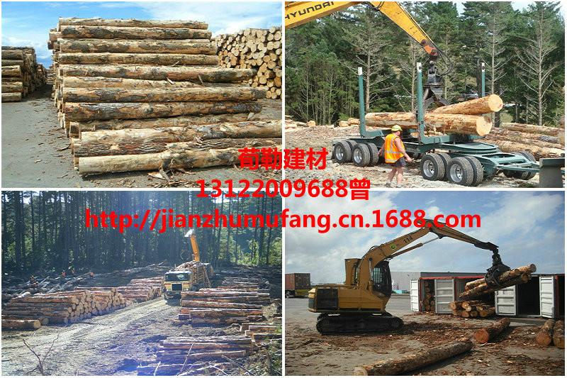 供應(yīng)輻射松規(guī)格料