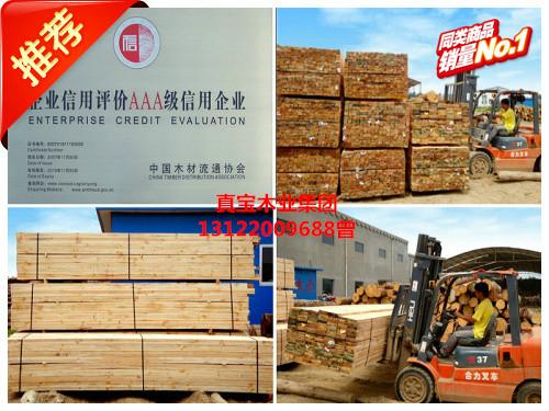 供應(yīng)新西蘭輻射松價(jià)格