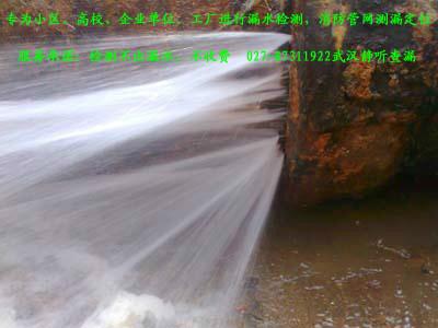 漏水檢測圖片/漏水檢測樣板圖 (4)