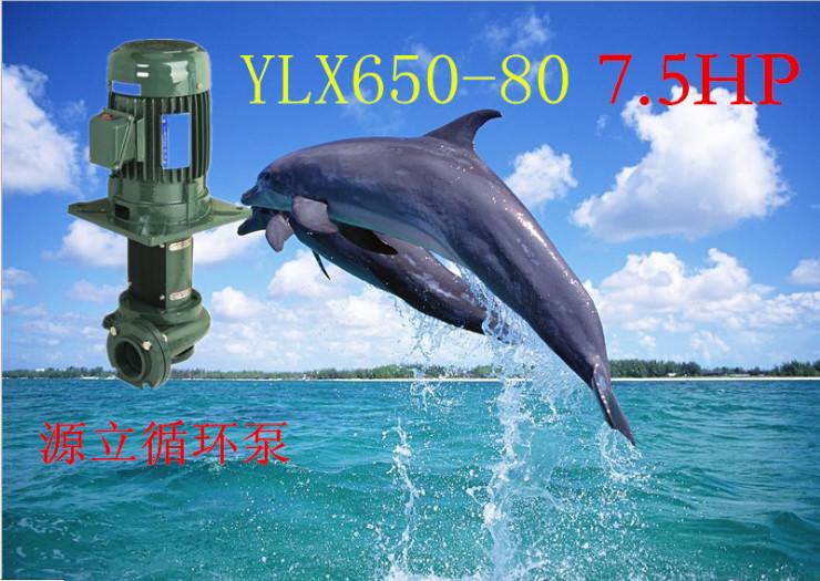 供應(yīng)廣東水泵生產(chǎn)廠家直銷腋下泵循環(huán)泵YLX1250-100