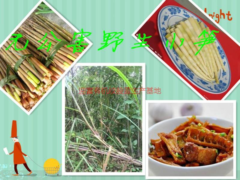 小游土特產(chǎn)圖片/小游土特產(chǎn)樣板圖 (3)