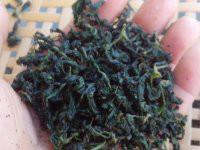 供應湘西甘味絞股藍廠家批發(fā)，湘西甘味絞股藍廠家批發(fā)價格