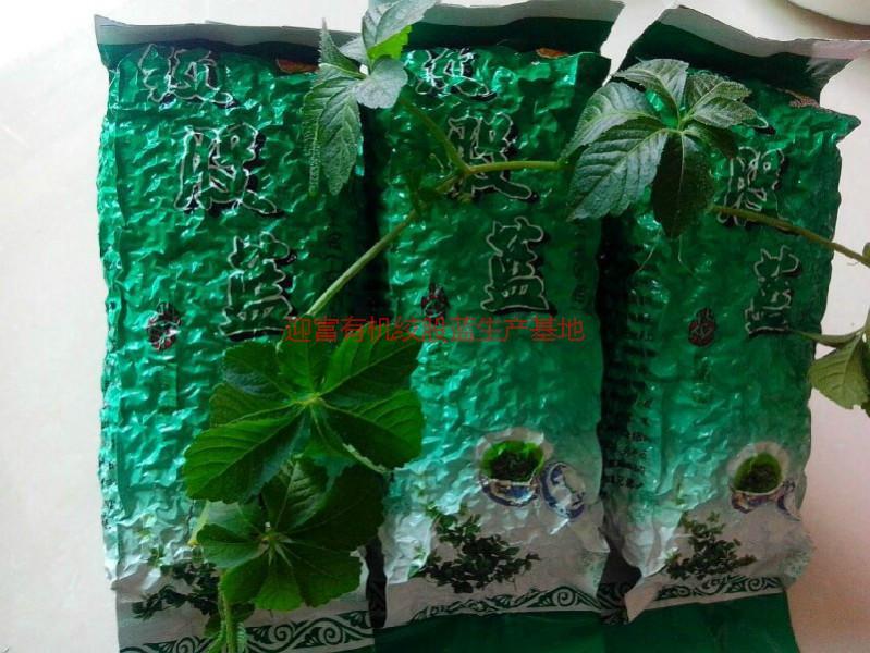 正宗絞股藍廠家供應(yīng)圖片/正宗絞股藍廠家供應(yīng)樣板圖 (4)