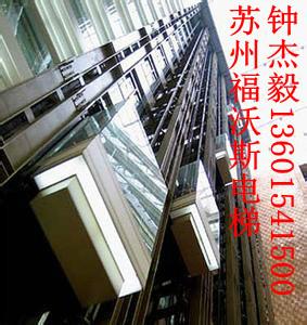 供應(yīng)專業(yè)生產(chǎn)供應(yīng)630公斤觀光電梯