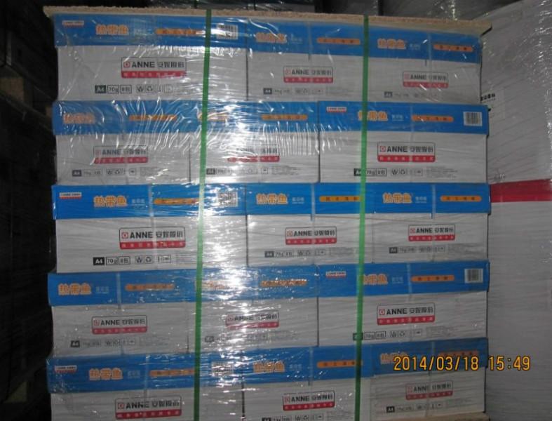 供應(yīng)安妮熱帶魚(yú)復(fù)印紙