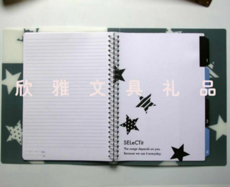 供應(yīng)定做pp活頁(yè)筆記本