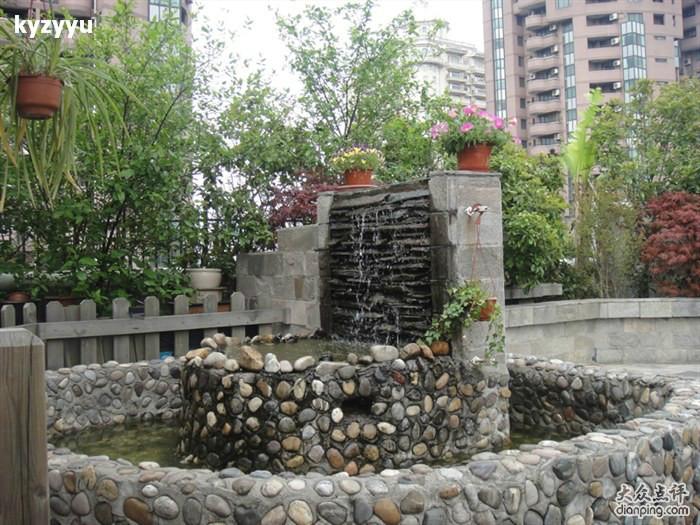 供應廣州魚池設計廣州魚池建造廣州假廣州魚池護理