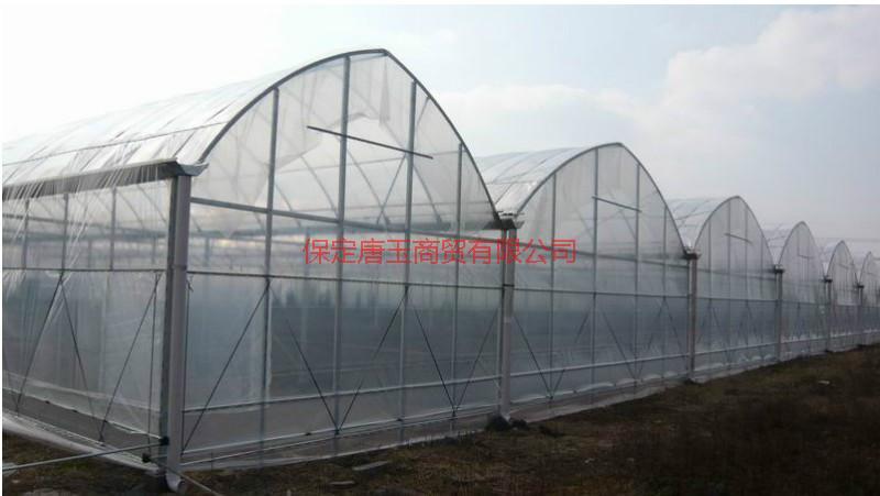 供應(yīng)日光溫室