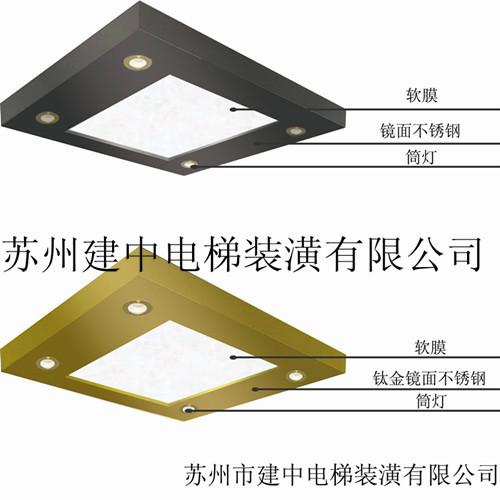 供應(yīng)豪華簡潔電梯裝飾