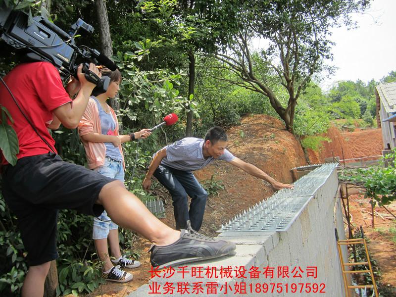 全國防盜刺