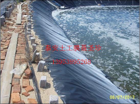 海南土工膜供應(yīng)商山東泰山永峰長期銷售高位池海水養(yǎng)蝦黑膜