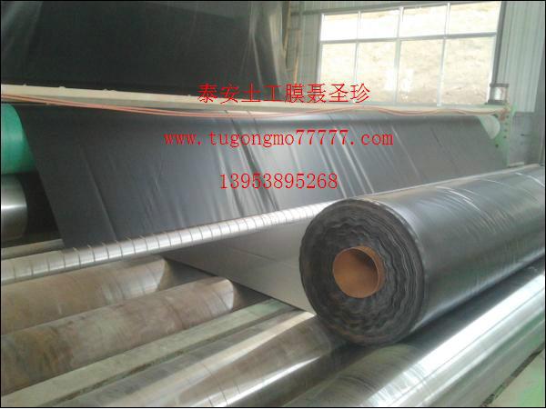 供應用于垃圾填埋場覆的泰安土工膜 泰安土工膜廠家