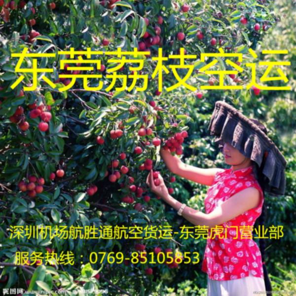 供應(yīng)國內(nèi)荔枝空運(yùn)門到門服務(wù)