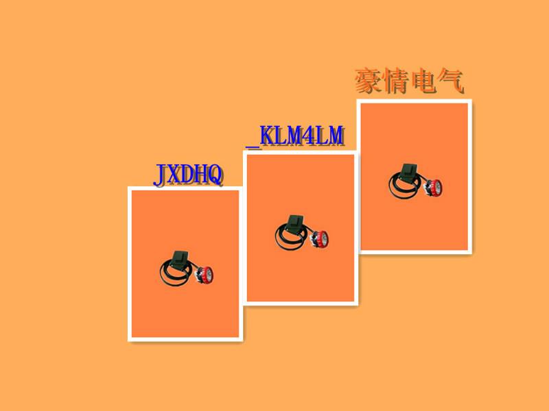 防爆應(yīng)急燈圖片/防爆應(yīng)急燈樣板圖 (3)