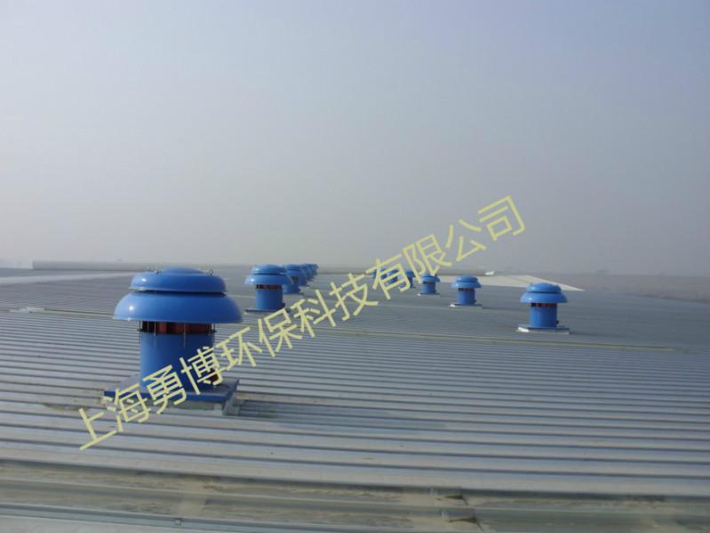 供應(yīng)上海勇博DWT-2型防爆軸流風(fēng)機(jī)上海生產(chǎn)廠家